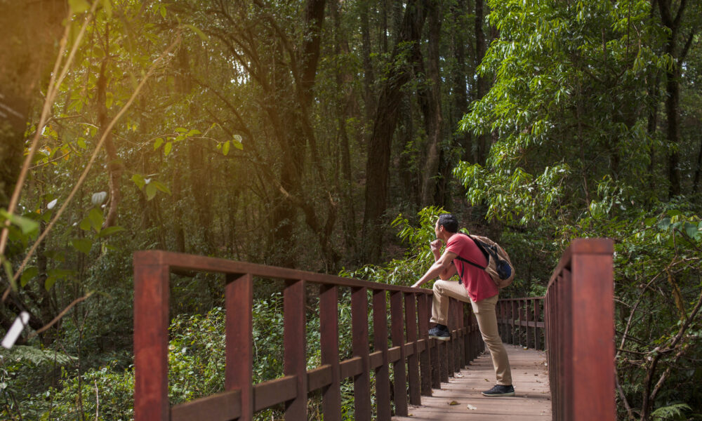 Hidden Place Ziro Valley – Explore Arunachal Pradesh’s Scenic Paradise || Elevaredailynexus