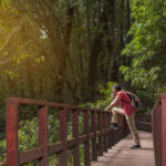 Hidden Place Ziro Valley – Explore Arunachal Pradesh’s Scenic Paradise || Elevaredailynexus