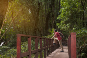 Hidden Place Ziro Valley – Explore Arunachal Pradesh’s Scenic Paradise || Elevaredailynexus