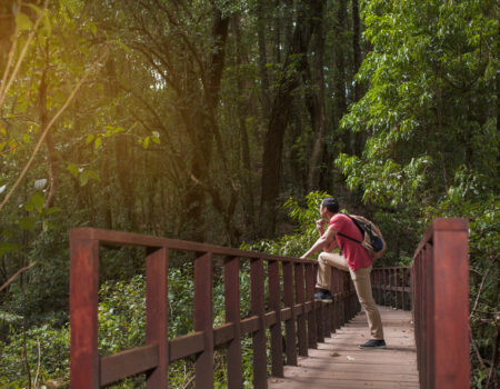 Hidden Place Ziro Valley – Explore Arunachal Pradesh’s Scenic Paradise || Elevaredailynexus