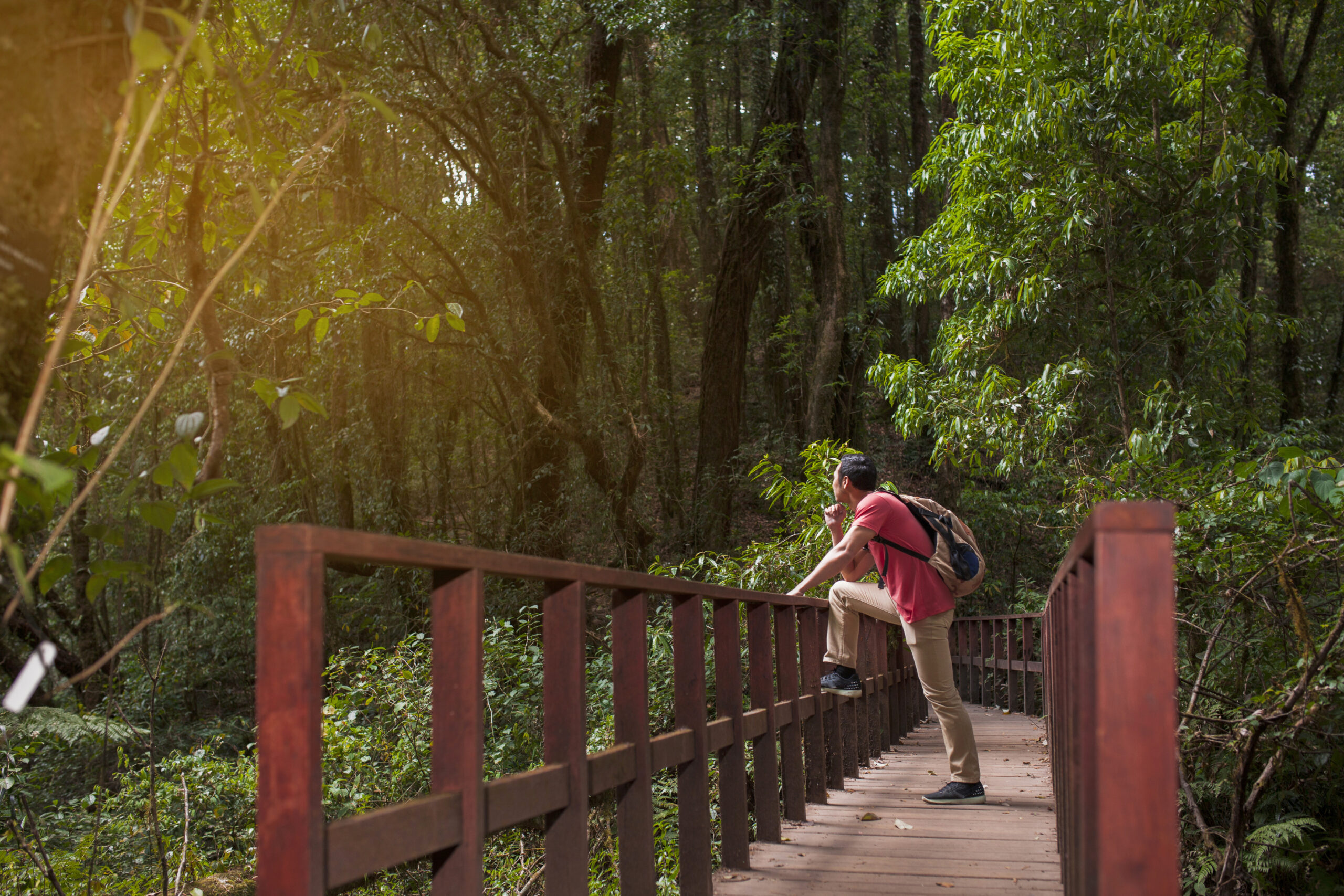 Hidden Place Ziro Valley – Explore Arunachal Pradesh’s Scenic Paradise || Elevaredailynexus