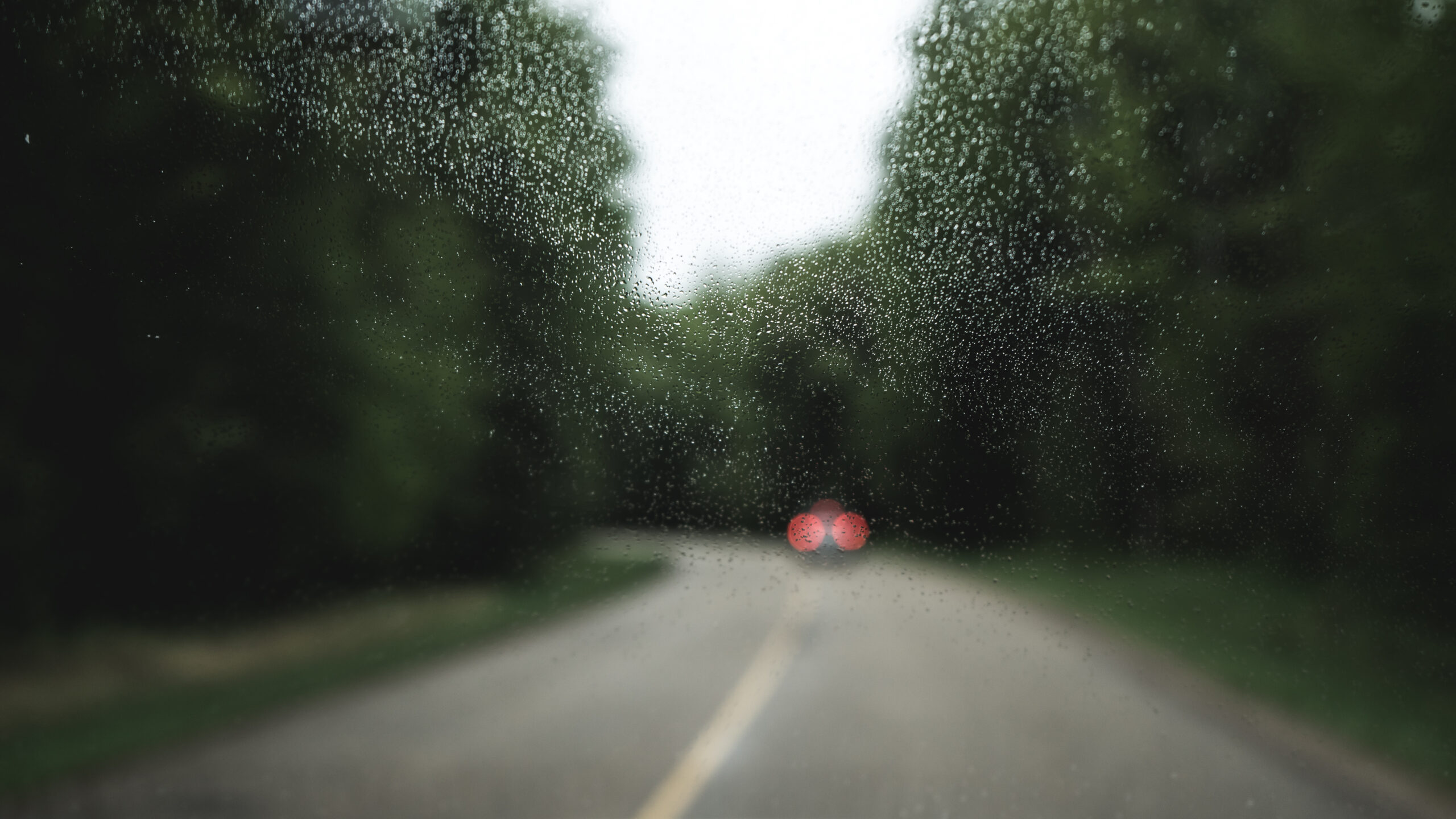 City Experiences Mixed Weather as Heavy Rain and Light Showers Sweep Through || Elevaredailynexus